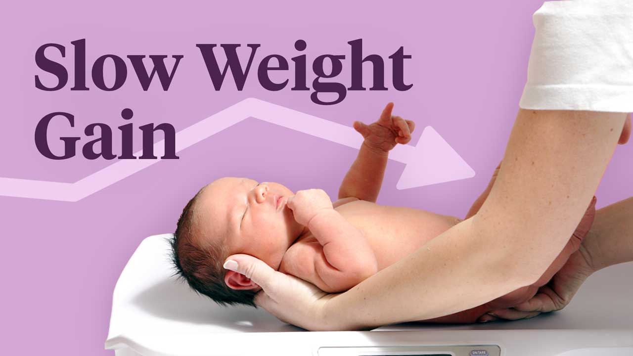 Cover image for: Understanding and Assessing Slow Weight Gain
